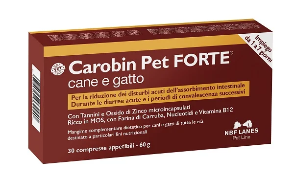 dottorbianchi1-2074946
