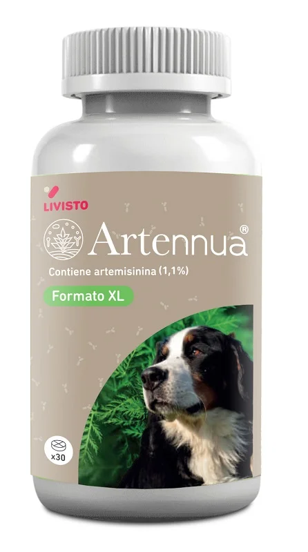 dottorbianchi2-2065681