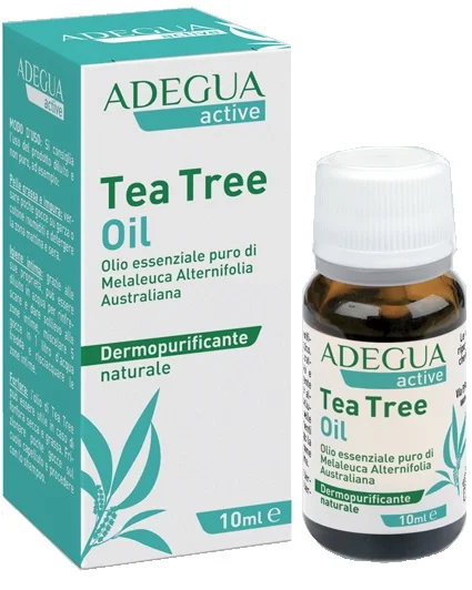 dottorbianchi2-2111482