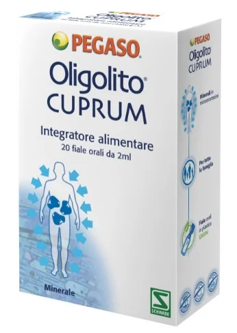 dottorbianchi2-2147930