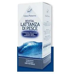 dottorbianchi2-2175055