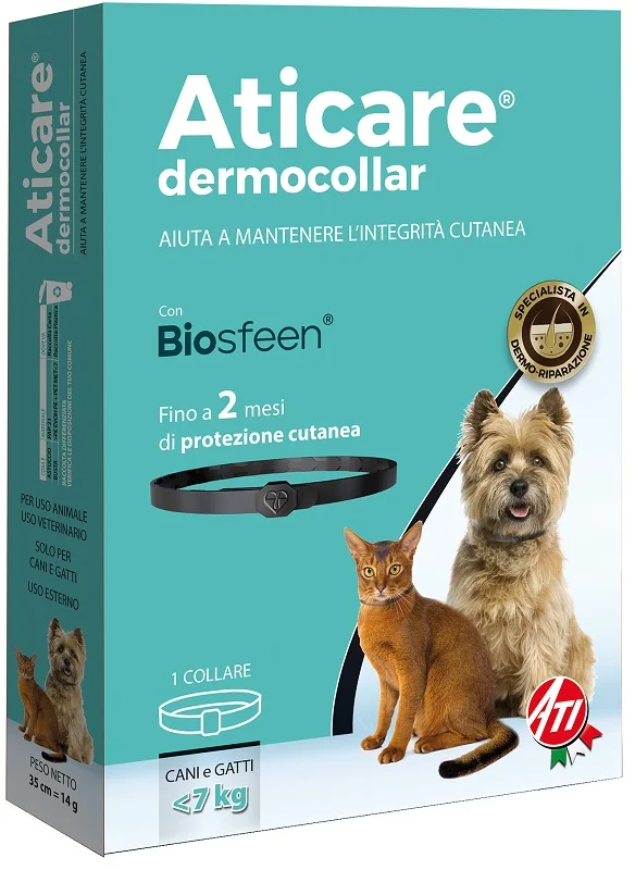 dottorbianchi2-2233531