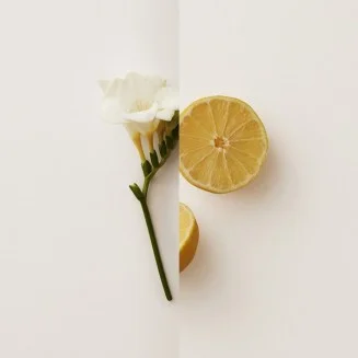 essencemarket-2089227