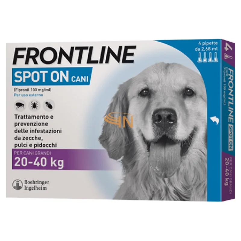 farmaciainlinea-2127648