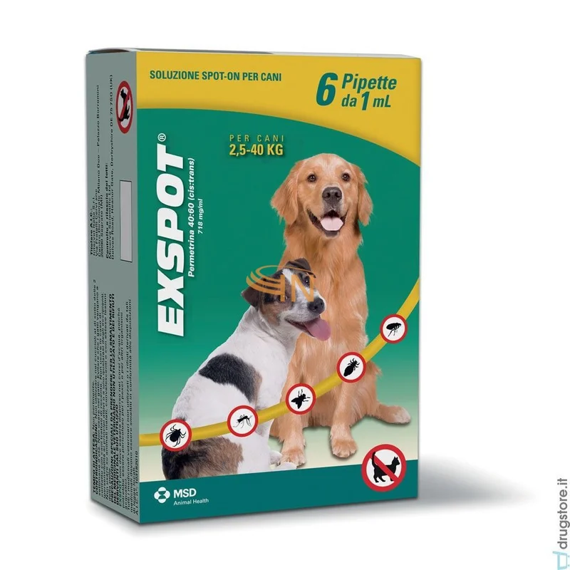 farmaciainlinea-2138195
