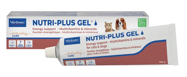 farmaciainlinea-2154716