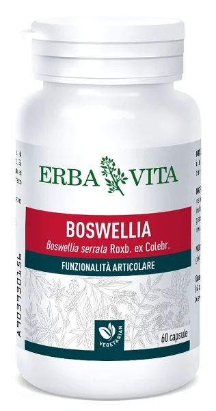farmaciainlinea-2171458