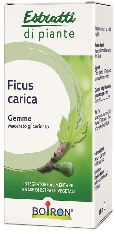 farmaciainlinea-2178278