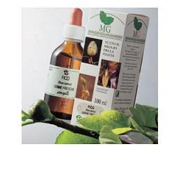 farmaciainlinea-2209476