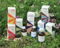 farmaciainlinea-2211685
