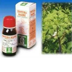 farmaciainlinea-2247015