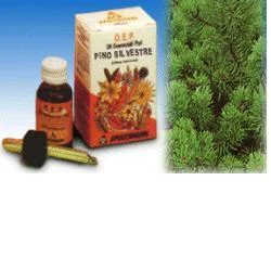 farmaciainlinea-2247363