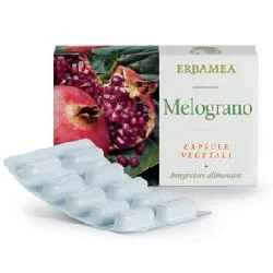 farmaciainlinea-2261784