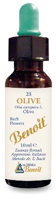 farmaciainlinea-2270746