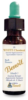 farmaciainlinea-2270756