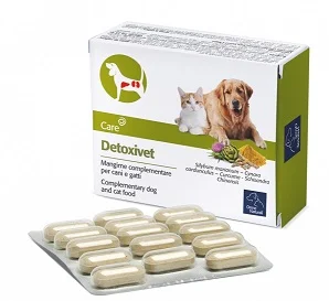 farmaciainlinea-2270831