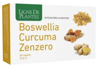 farmaciainlinea-2284878