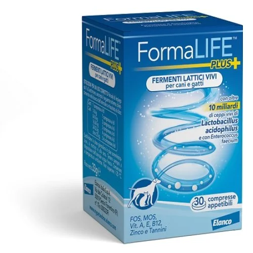 farmanika1-2096771