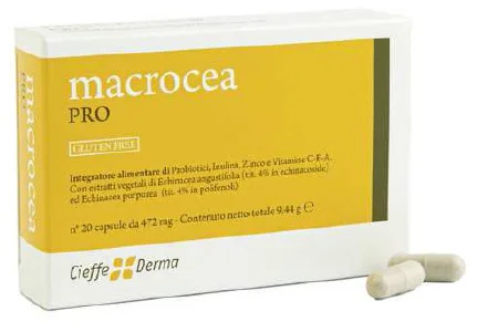 farmasconti1-2131475
