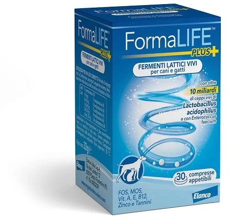 farmasconti1-2135054