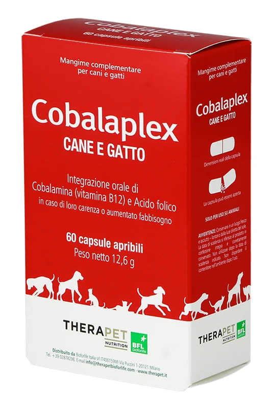 farmasconti1-2215739