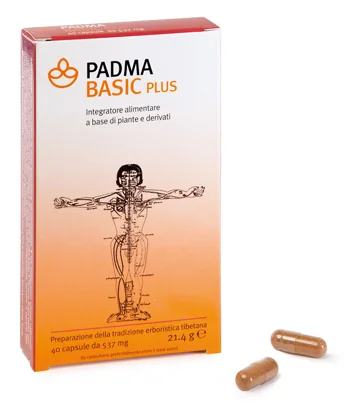 farmasconti2-2133409