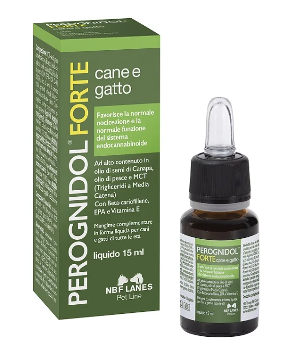 farmasconti2-2142605
