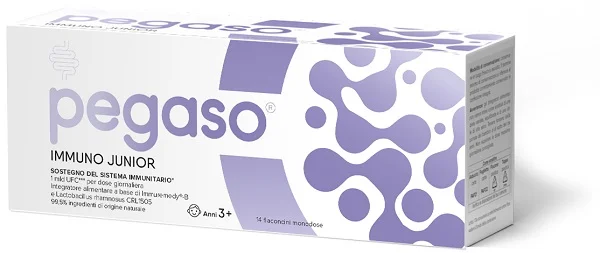 farmasconti2-2149323