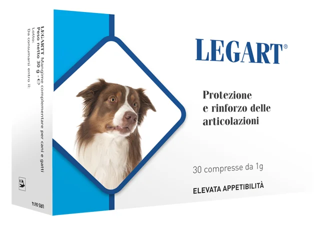 farmasconti2-2221466