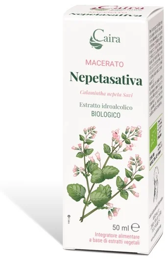 farmasconti2-2226013