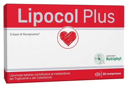 farmasconti2-2234632