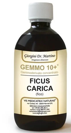 farmasconti2-2250252