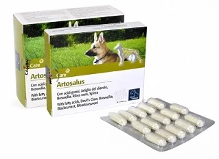 farmasconti2-2261085