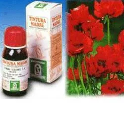 farmasconti3-2155283