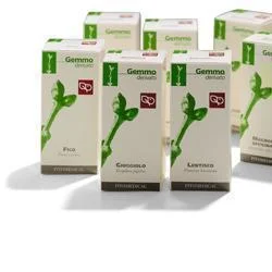 farmasconti3-2161225