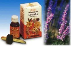 farmasconti3-2234738