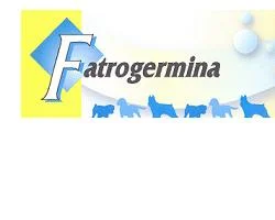 farmasconti3-2260027